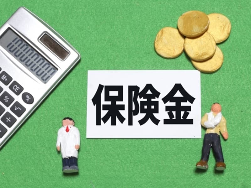 農業確定申告 収入保険の支払い時・保険金受取時の仕訳処理について