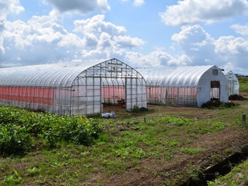 農業用ビニールハウスに補助金は活用できるか